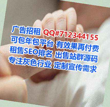 崆峒借腹生子市政有限公司